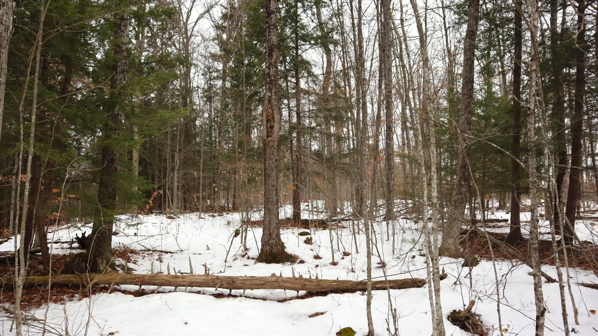 Property at 257 County Route 11, Whitehall, NY 12887 43