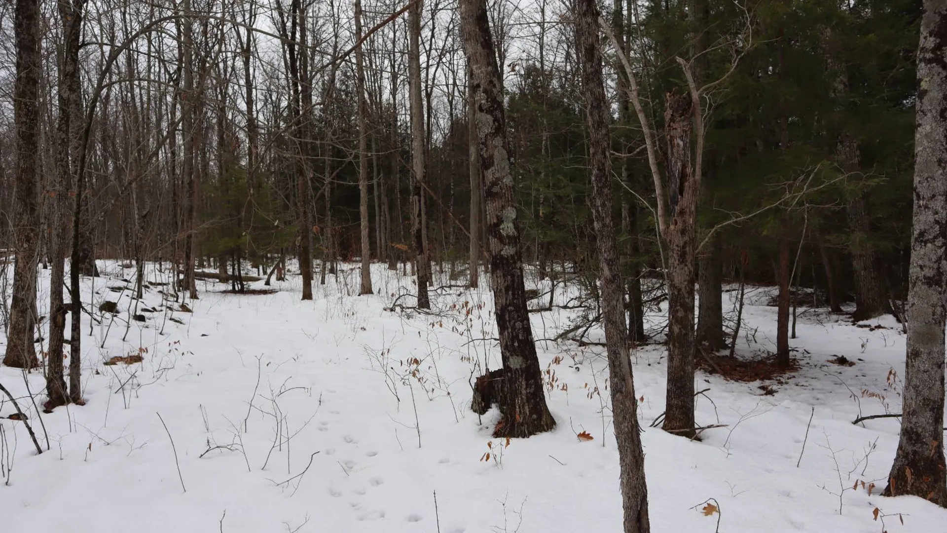 Property at 257 County Route 11, Whitehall, NY 12887 46