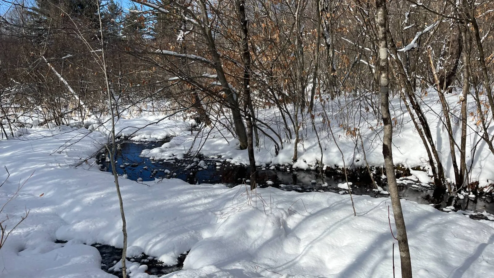 Property at 00 Lafaver Rd, Hermon, NY 13652 11