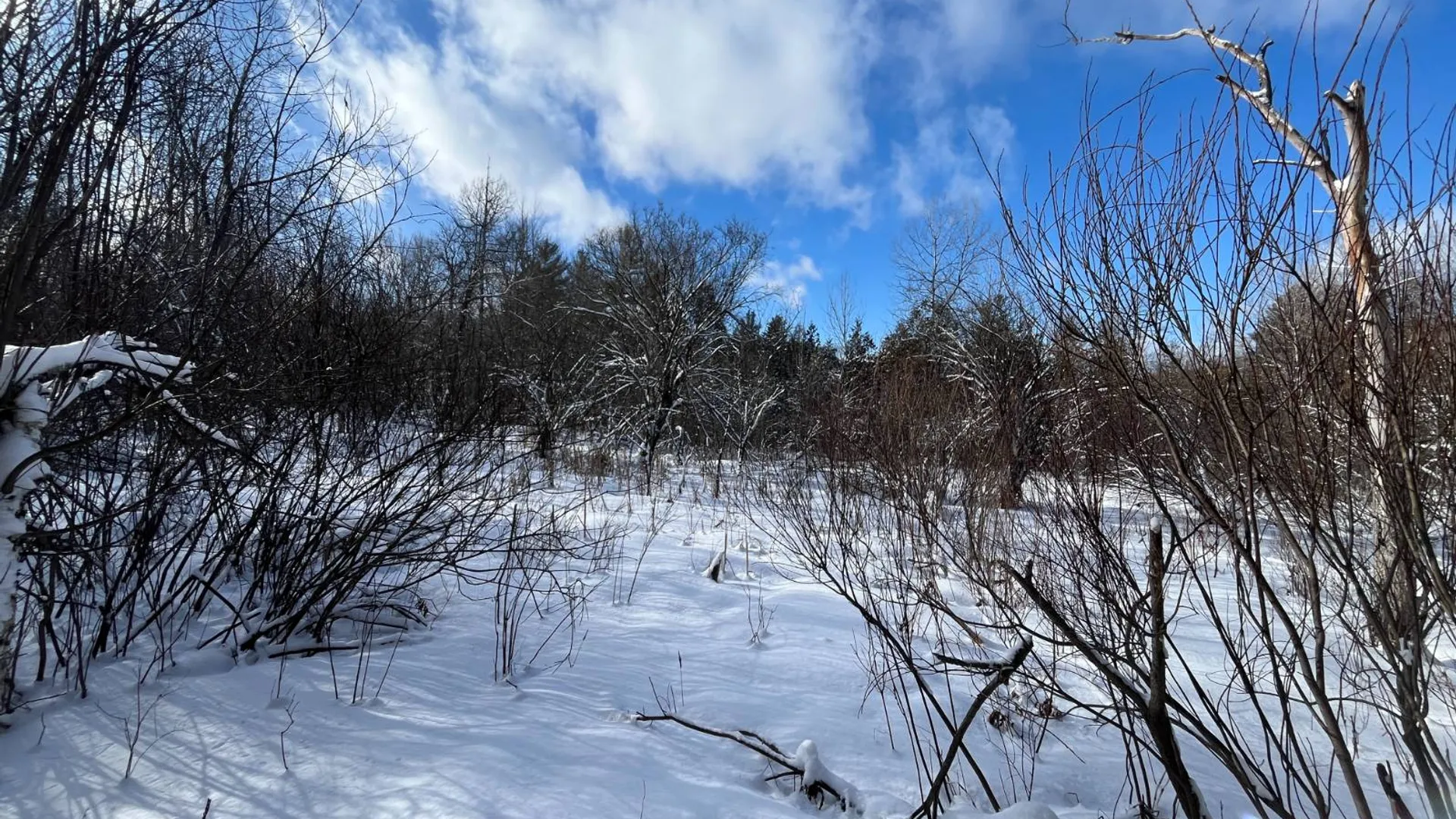 Property at 00 Lafaver Rd, Hermon, NY 13652 13