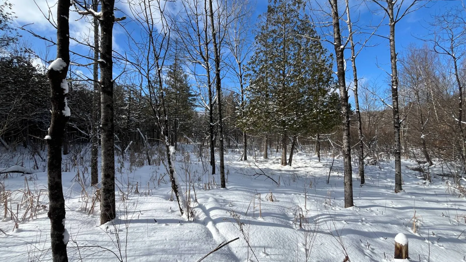 Property at 00 Lafaver Rd, Hermon, NY 13652 14