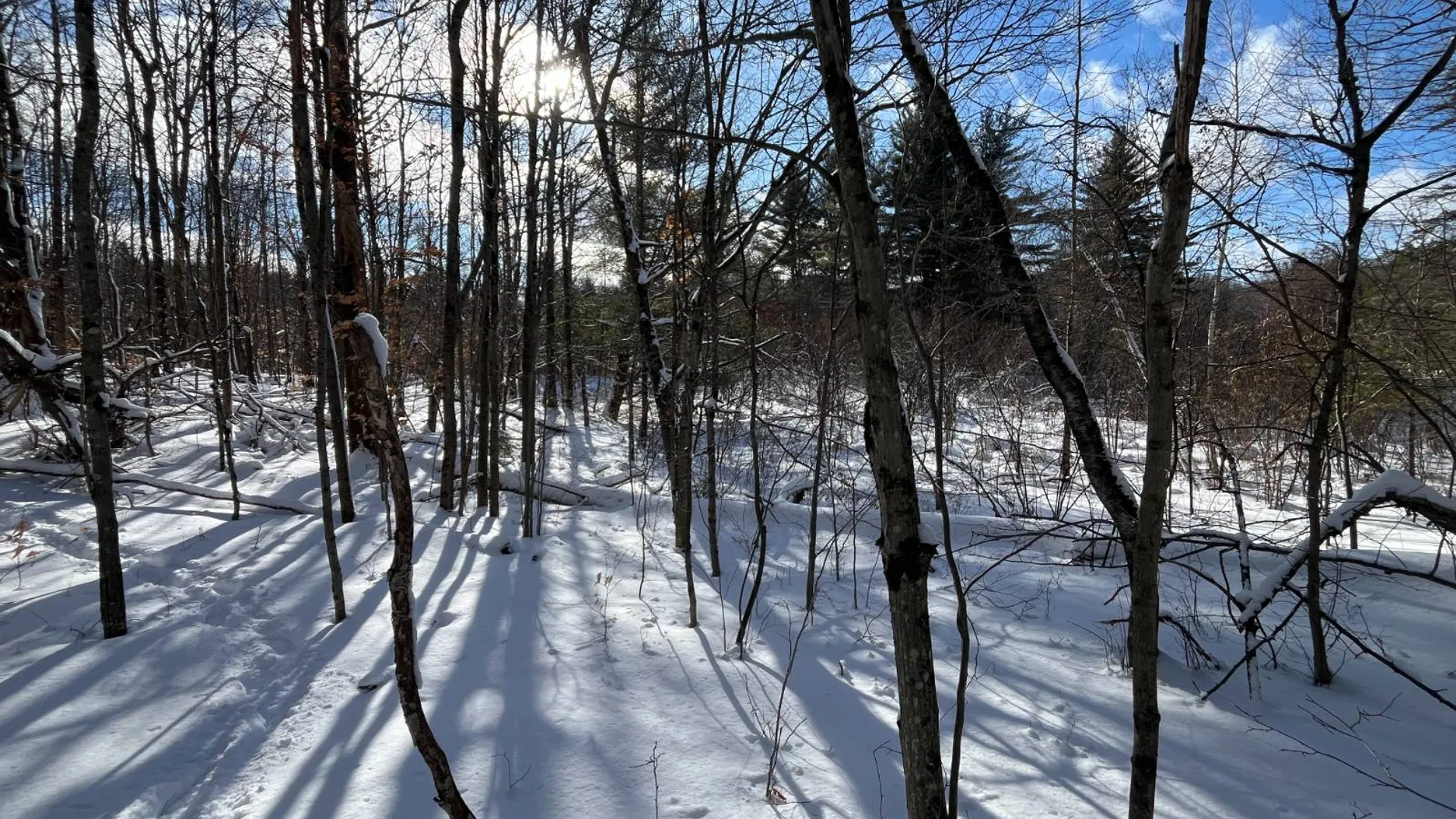 Property at 00 Lafaver Rd, Hermon, NY 13652 15