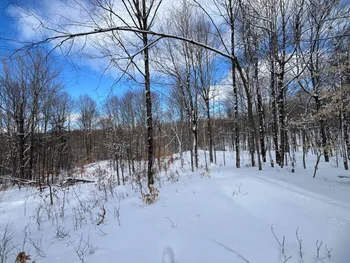 Property at 00 Lafaver Rd, Hermon, NY 13652