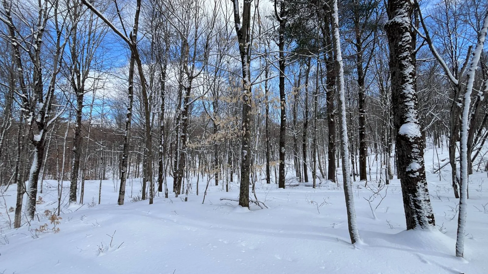 Property at 00 Lafaver Rd, Hermon, NY 13652 2