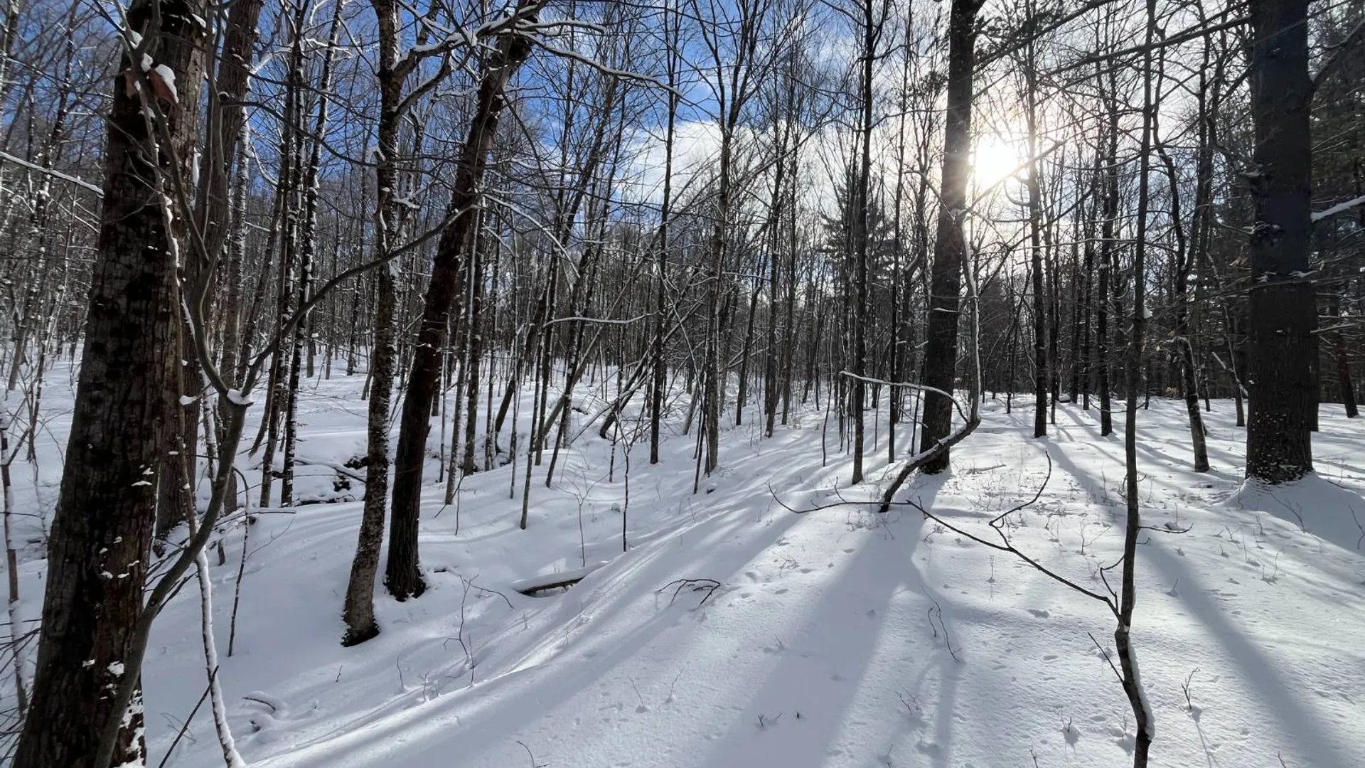 Property at 00 Lafaver Rd, Hermon, NY 13652 3