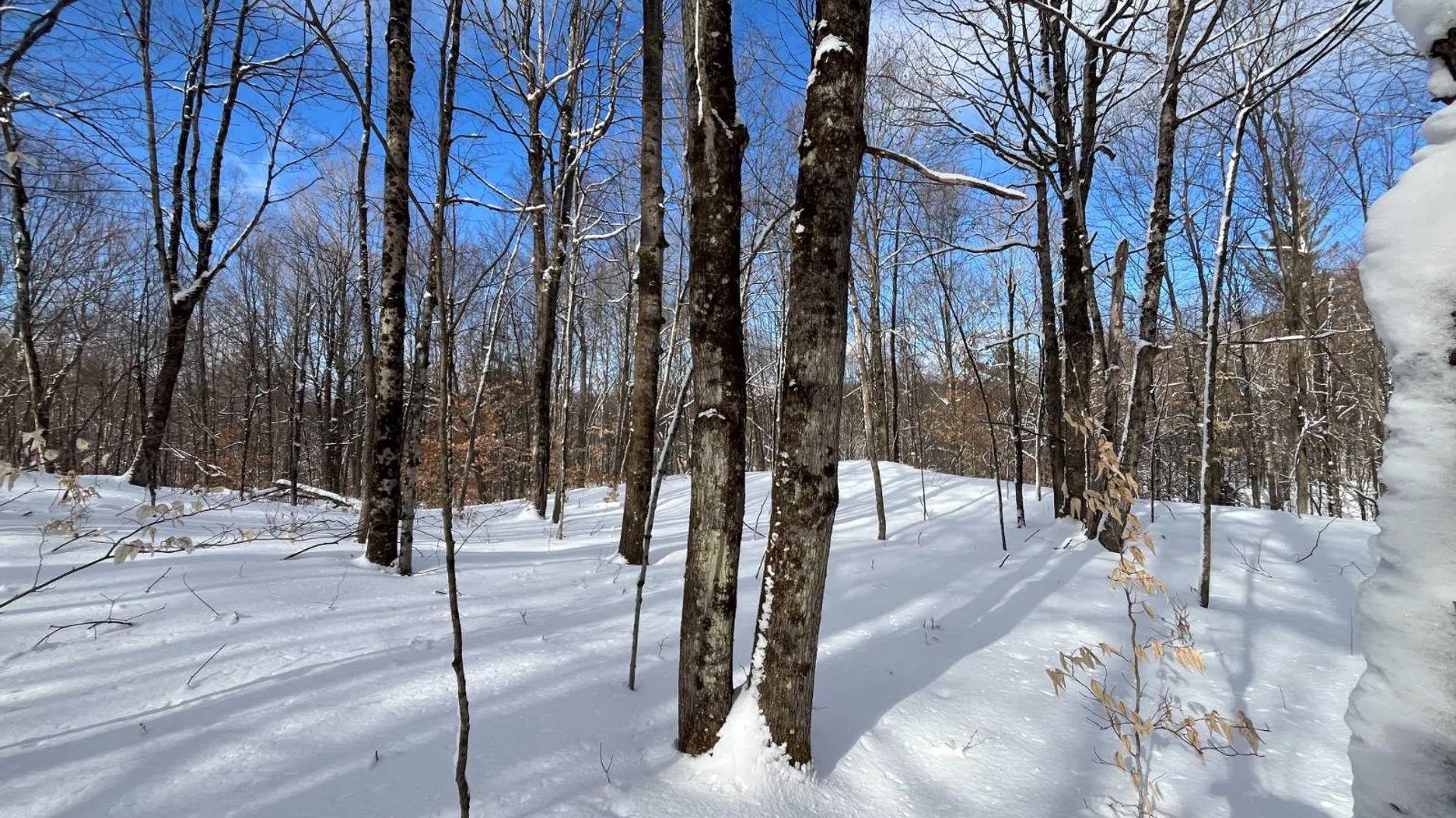 Property at 00 Lafaver Rd, Hermon, NY 13652 6