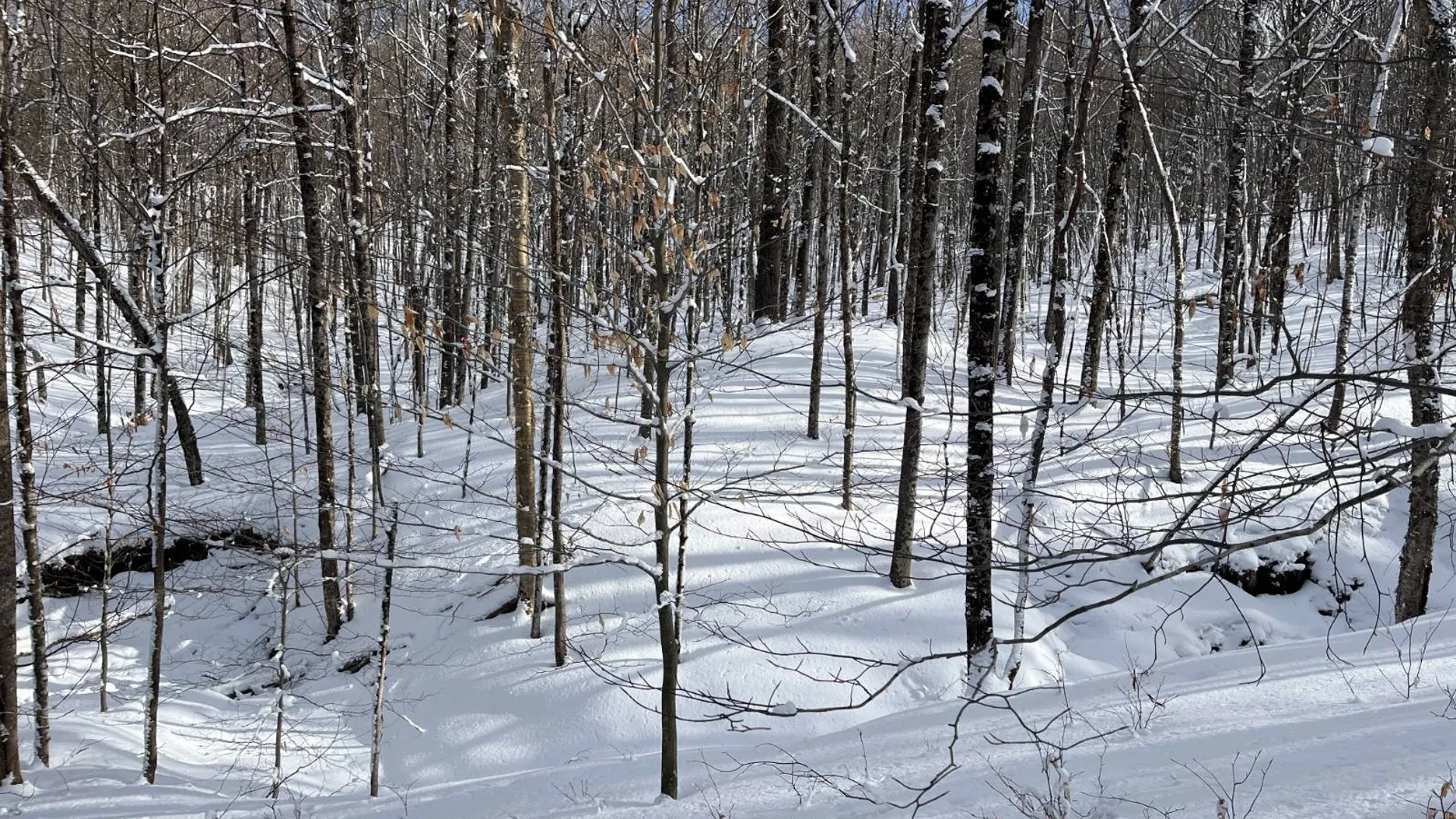 Property at 00 Lafaver Rd, Hermon, NY 13652 7