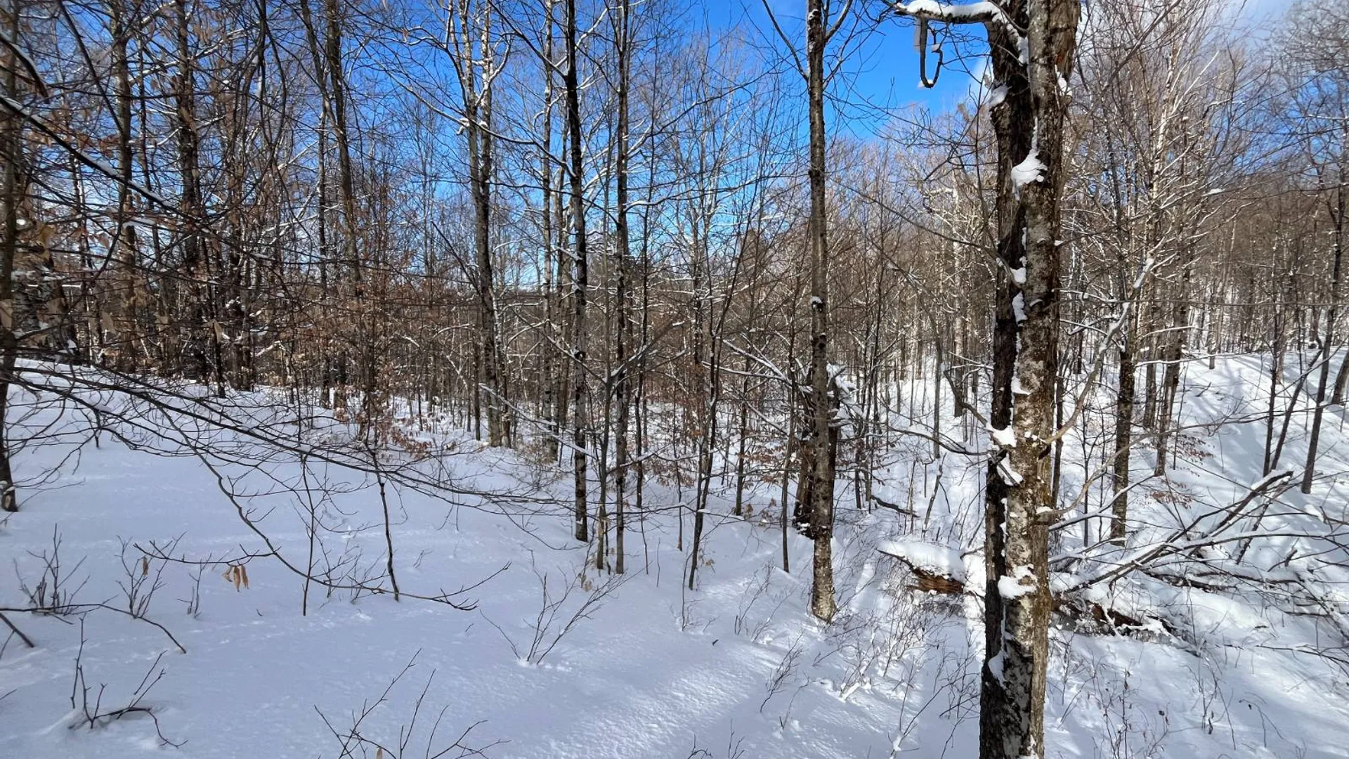 Property at 00 Lafaver Rd, Hermon, NY 13652 8