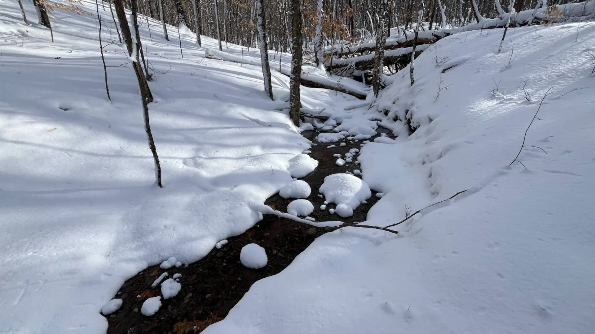 Property at 00 Lafaver Rd, Hermon, NY 13652 9