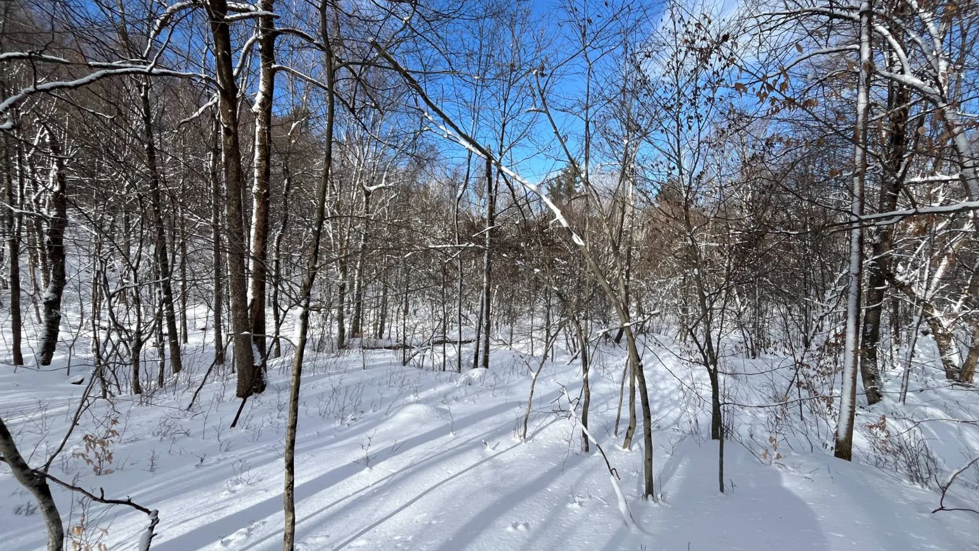 Property at 00 Lafaver Rd, Hermon, NY 13652 11
