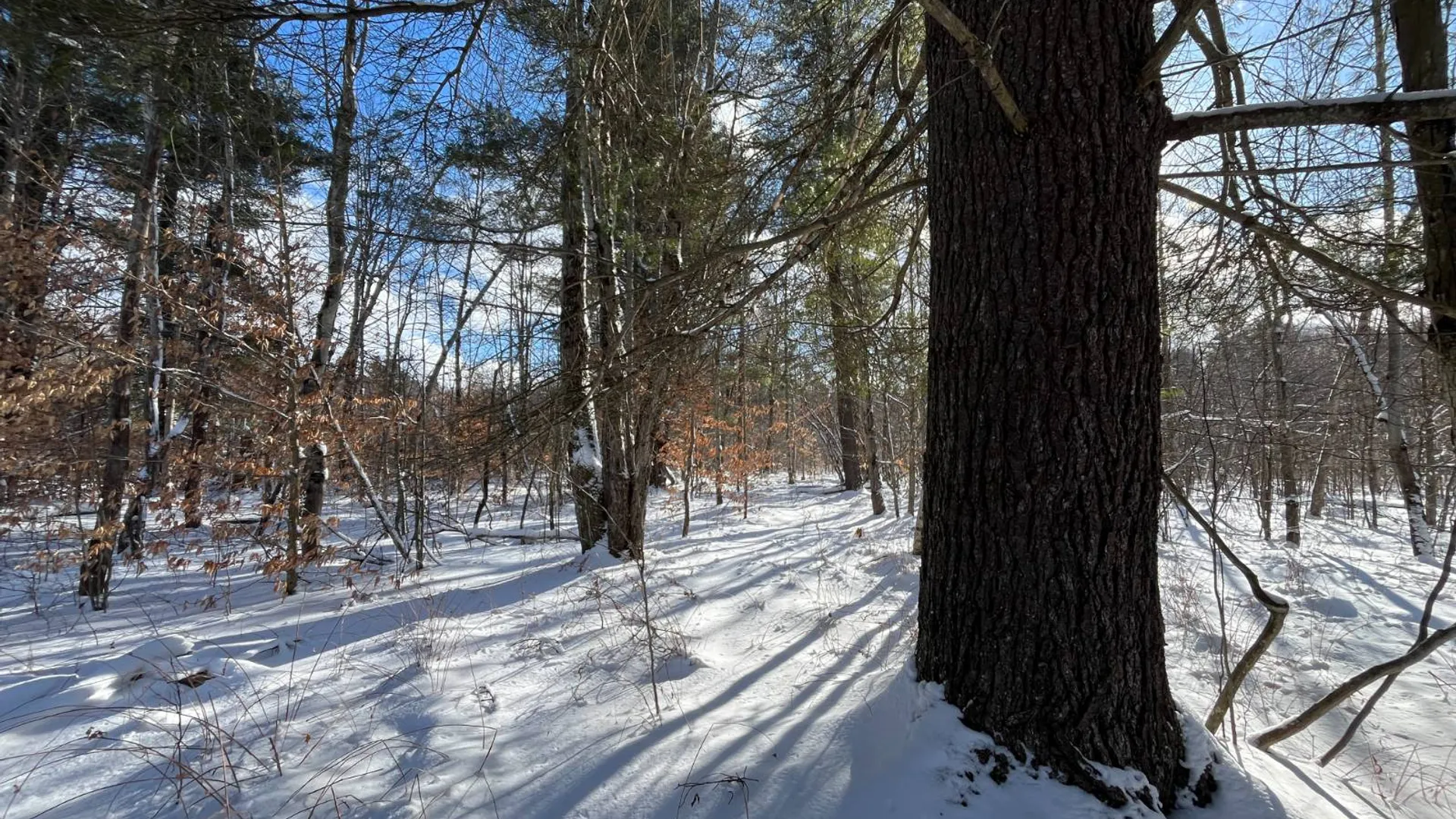 Property at 00 Lafaver Rd, Hermon, NY 13652 12