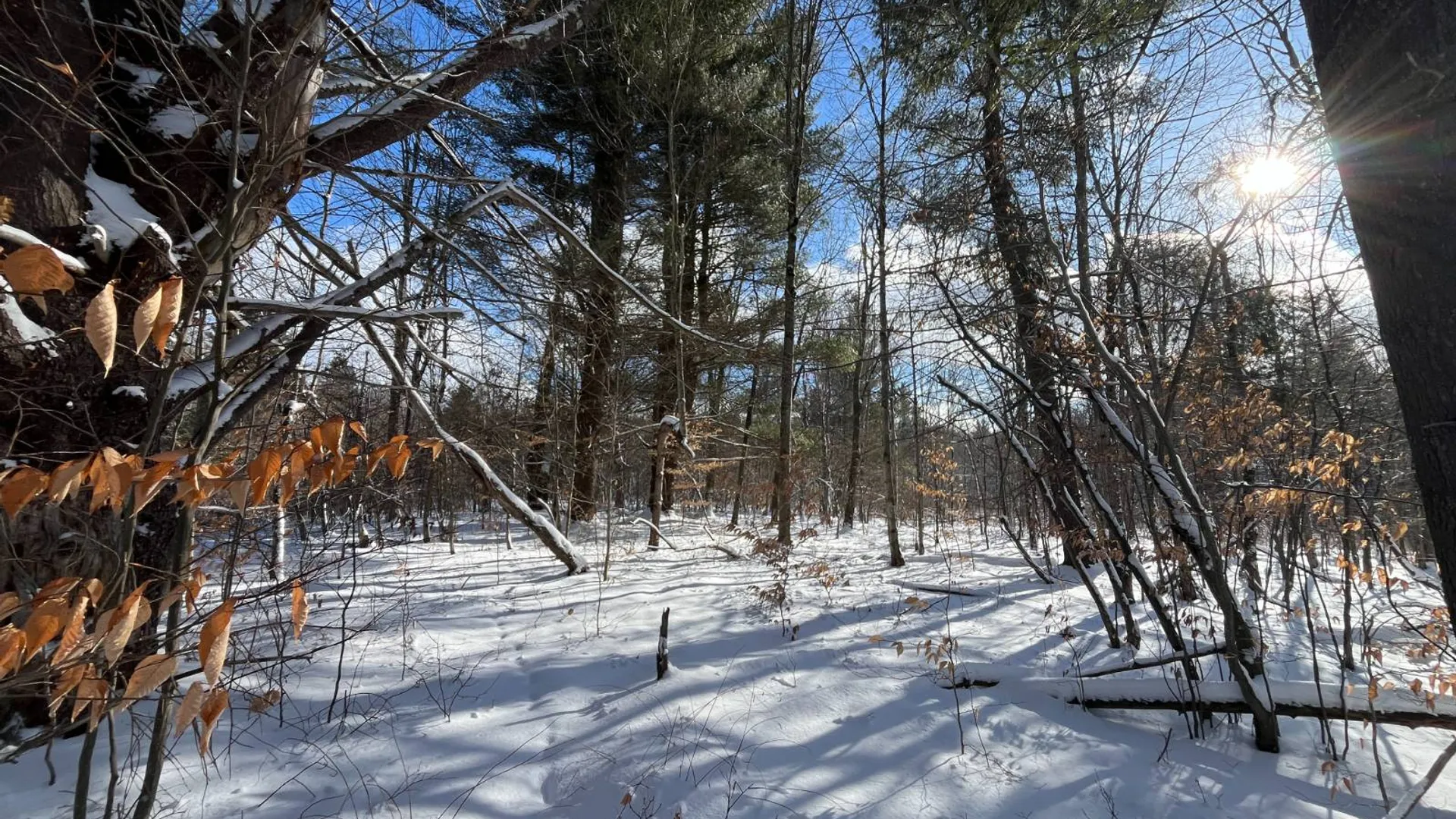 Property at 00 Lafaver Rd, Hermon, NY 13652 14