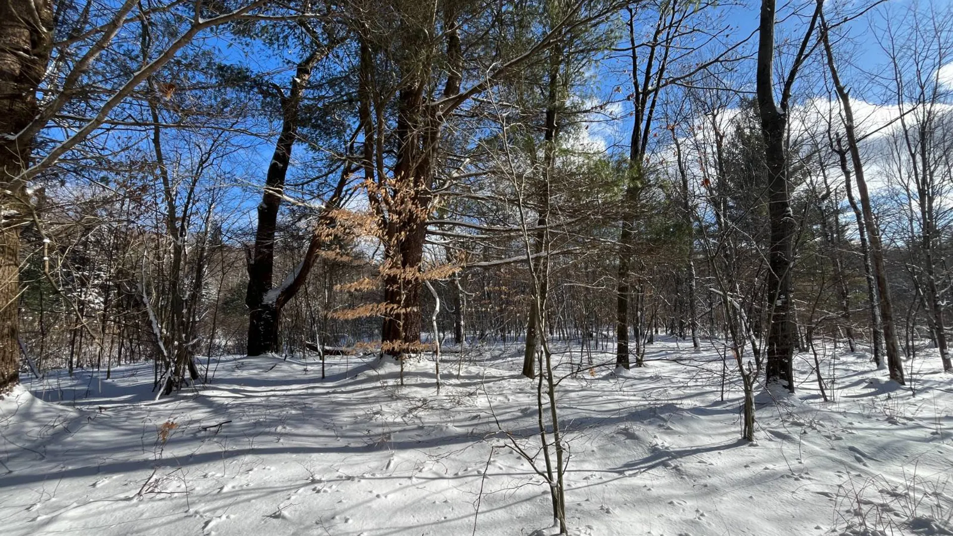 Property at 00 Lafaver Rd, Hermon, NY 13652 15