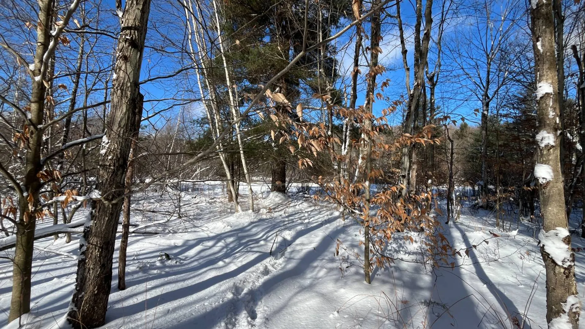 Property at 00 Lafaver Rd, Hermon, NY 13652 16