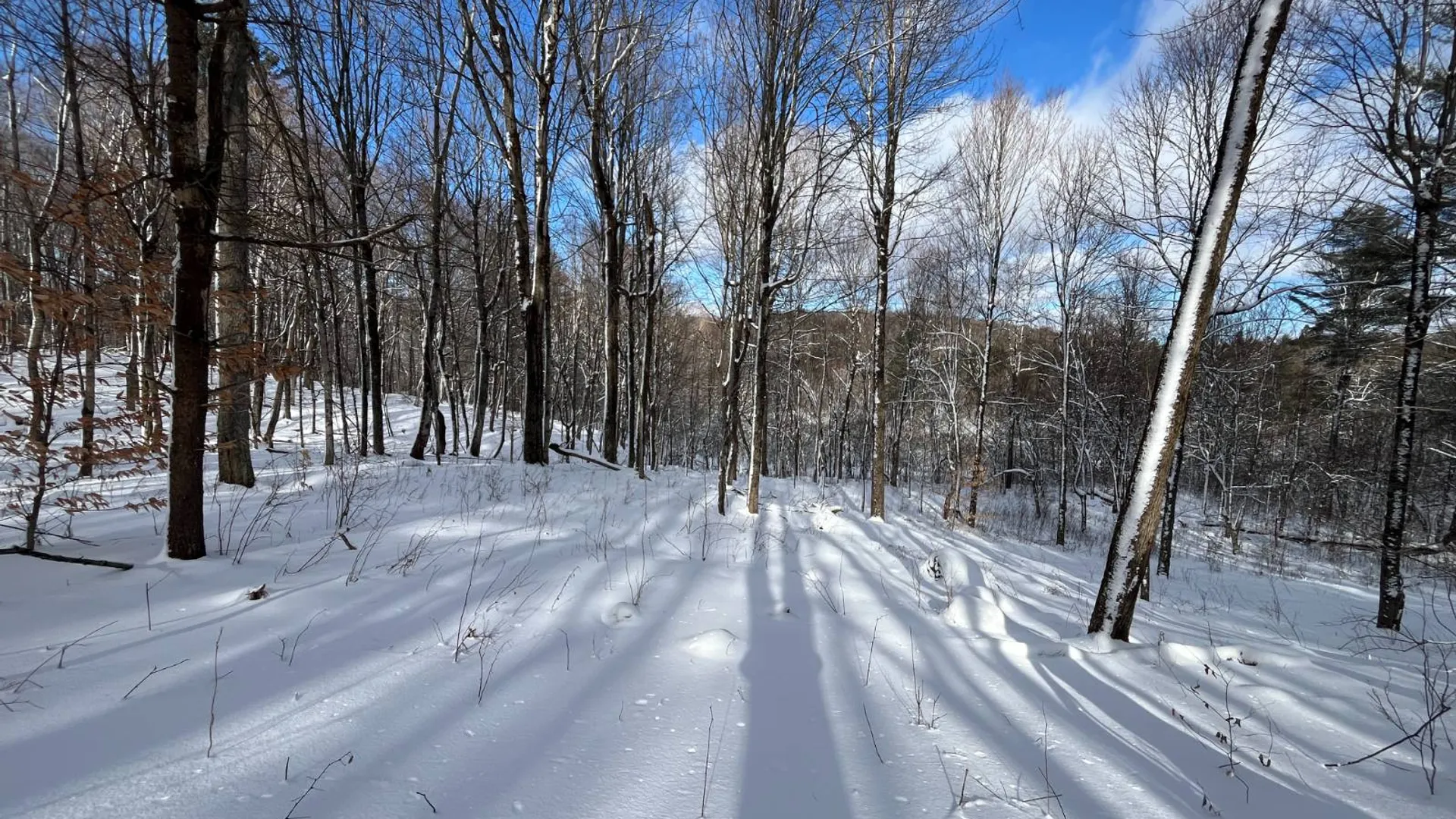 Property at 00 Lafaver Rd, Hermon, NY 13652 2