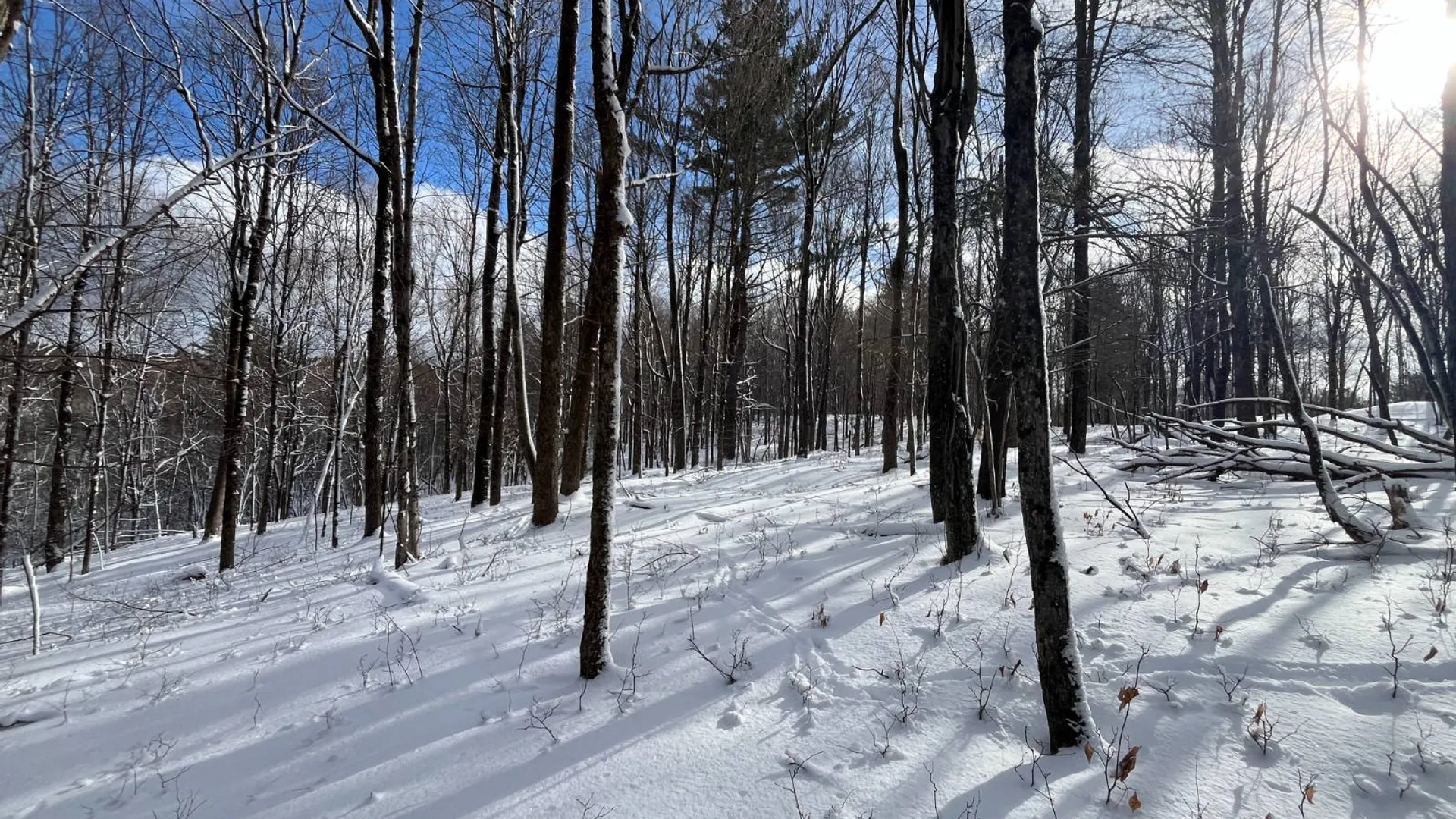 Property at 00 Lafaver Rd, Hermon, NY 13652 7