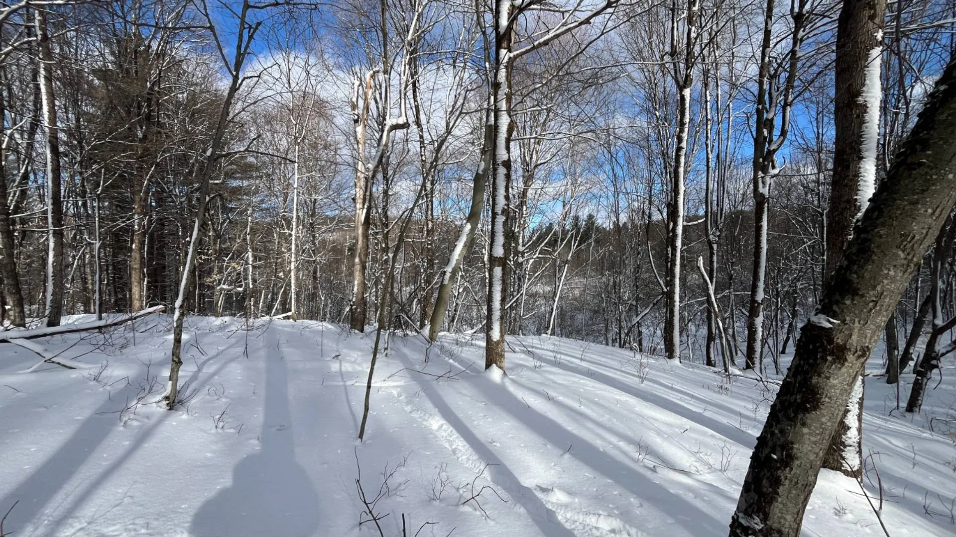 Property at 00 Lafaver Rd, Hermon, NY 13652 8