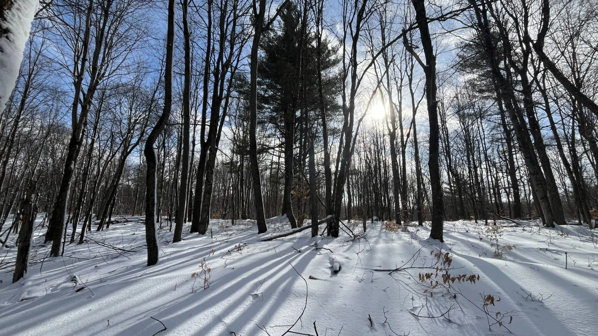 Property at 00 Lafaver Rd, Hermon, NY 13652 10