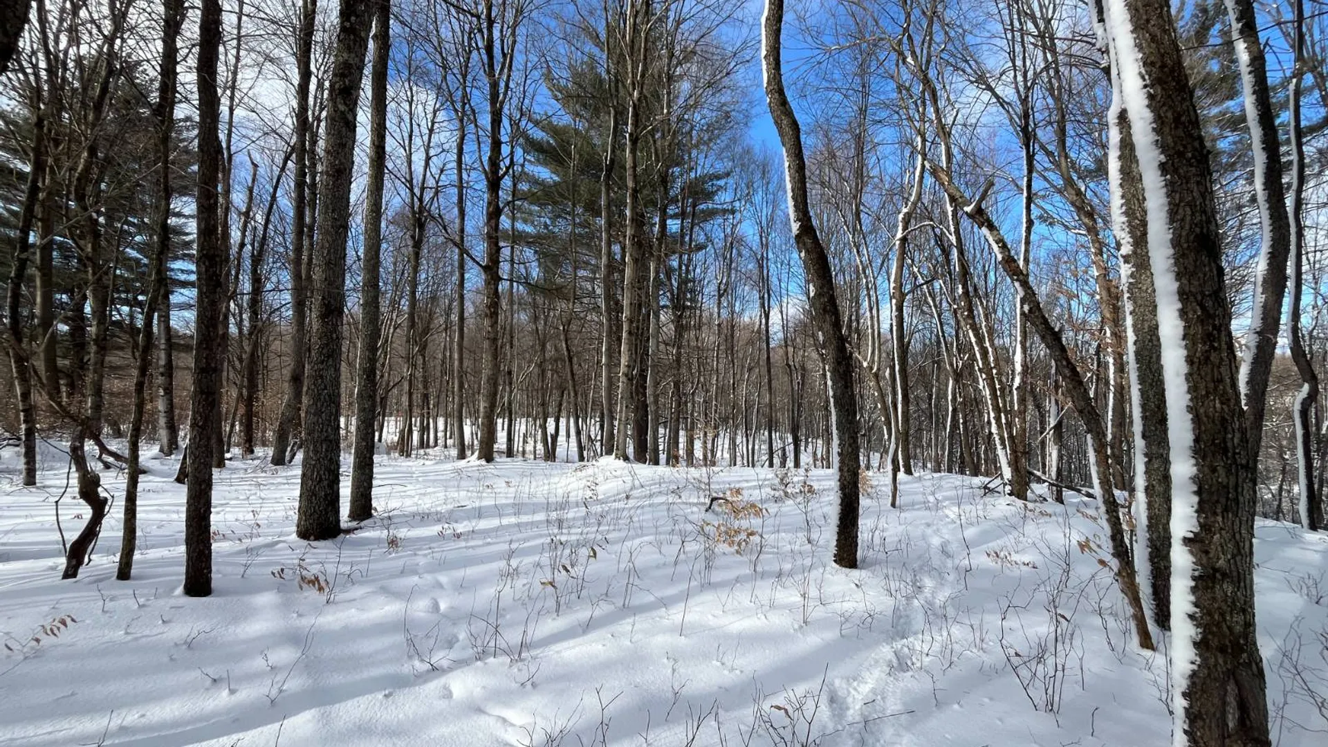 Property at 00 Lafaver Rd, Hermon, NY 13652 11