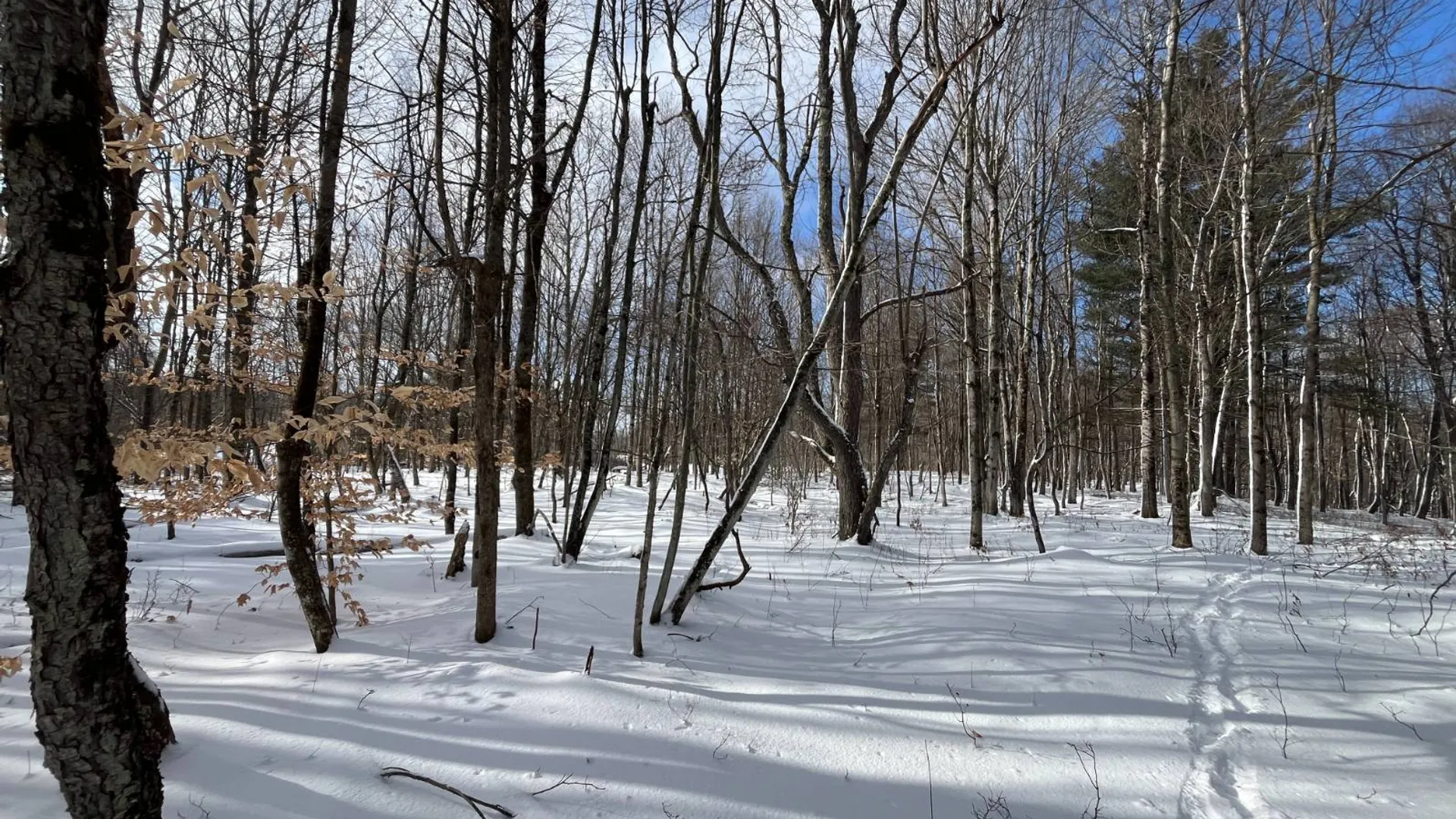 Property at 00 Lafaver Rd, Hermon, NY 13652 12