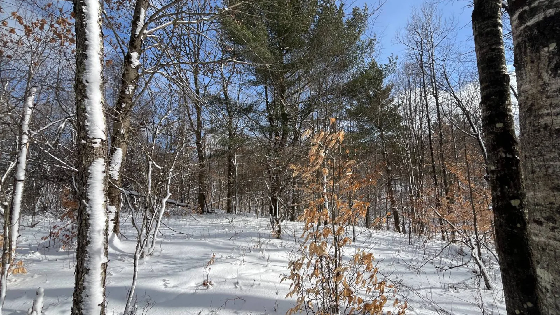 Property at 00 Lafaver Rd, Hermon, NY 13652 13