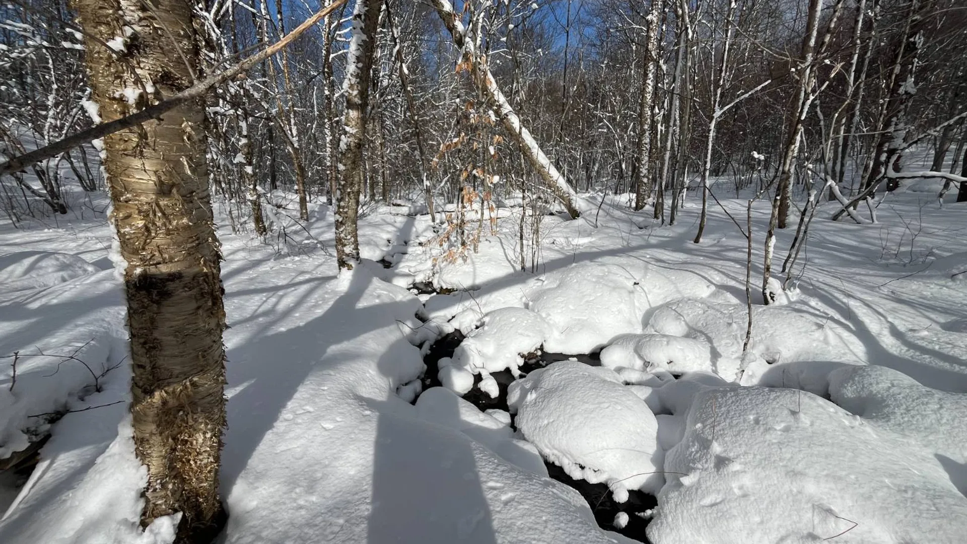 Property at 00 Lafaver Rd, Hermon, NY 13652 14