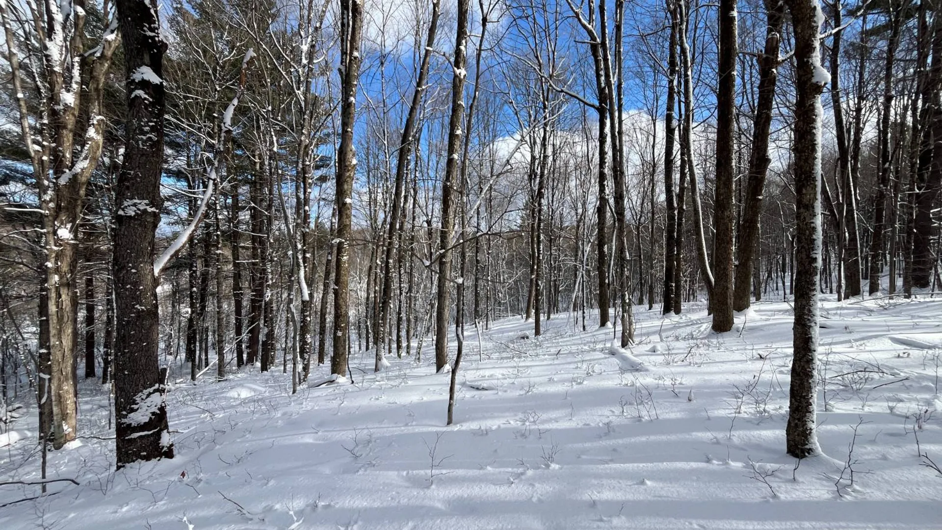 Property at 00 Lafaver Rd, Hermon, NY 13652 3