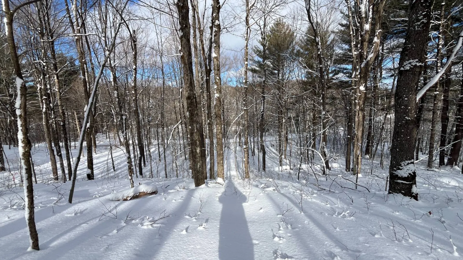 Property at 00 Lafaver Rd, Hermon, NY 13652 7
