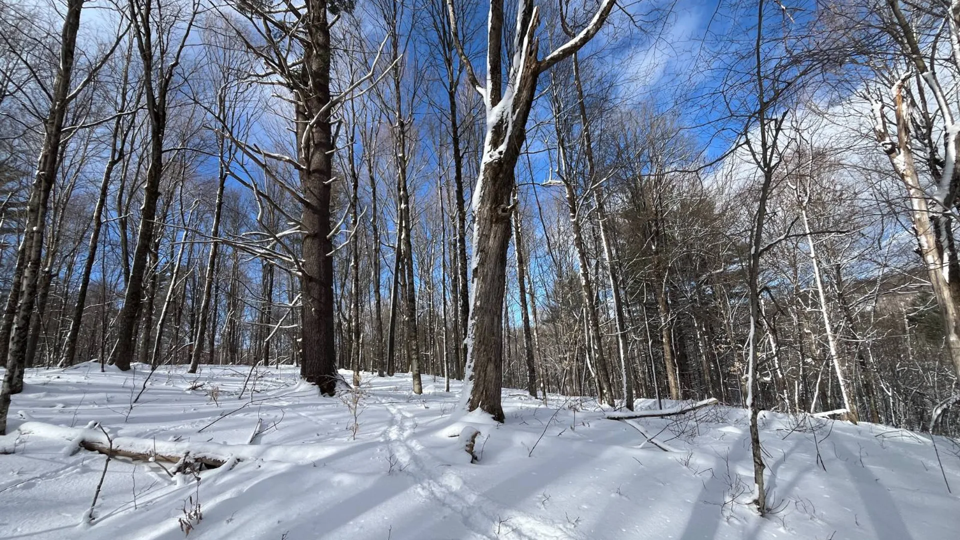 Property at 00 Lafaver Rd, Hermon, NY 13652 9