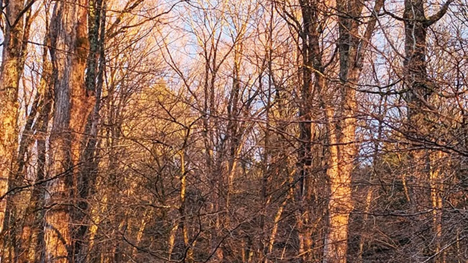 Property at 676 Co Hwy 35, Maryland, NY 12116 34