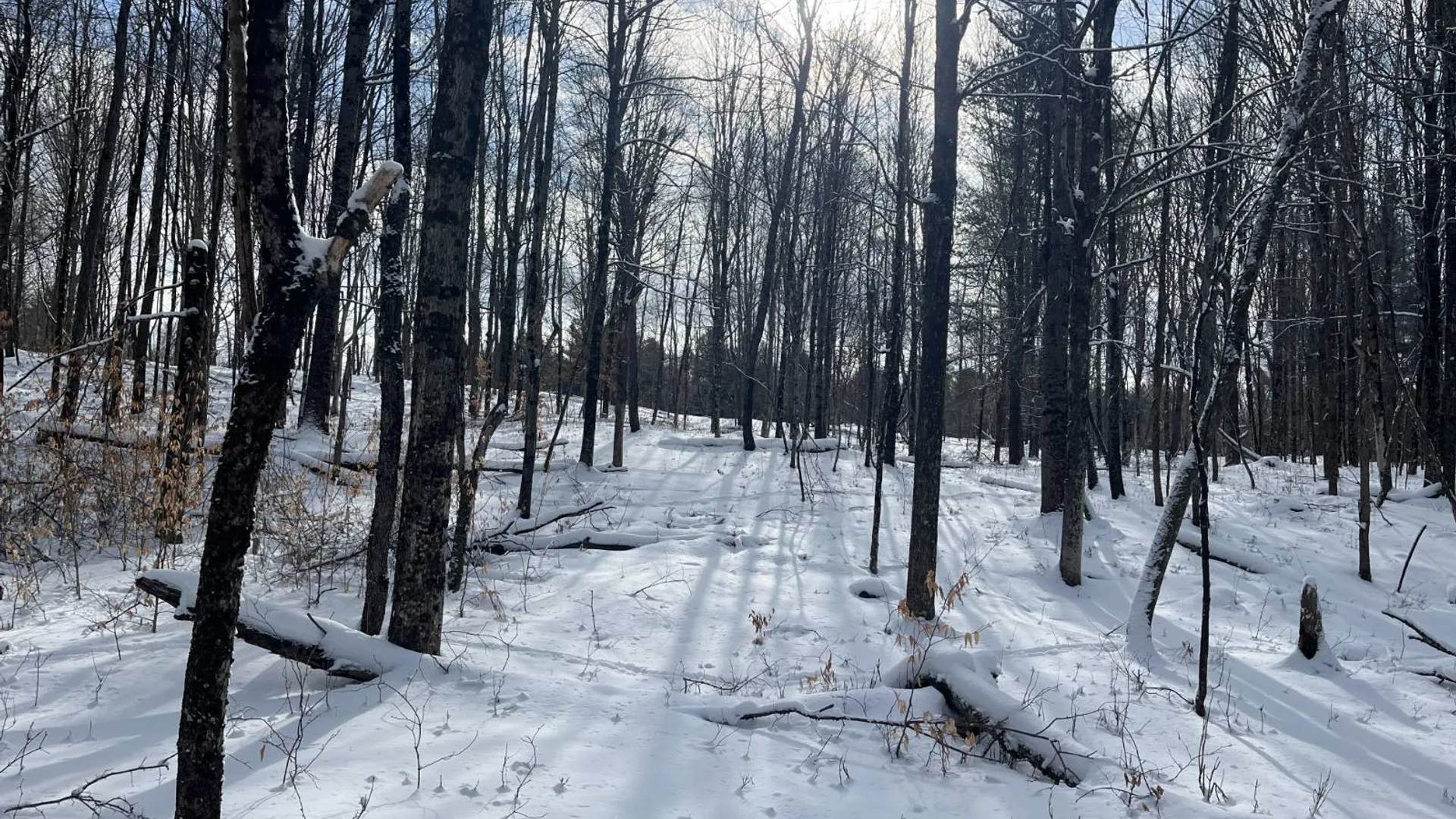 Property at 00 Lafaver Rd, Hermon, NY 13652 10