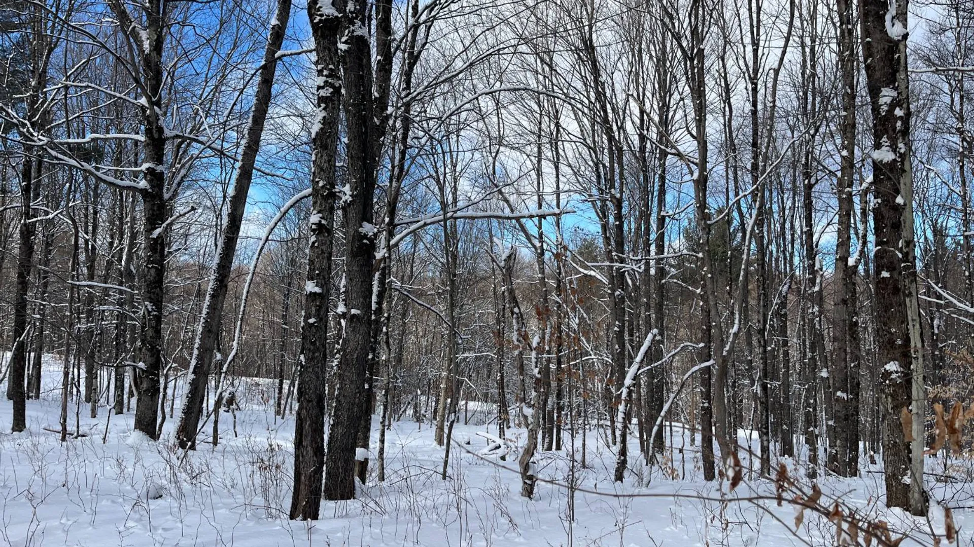 Property at 00 Lafaver Rd, Hermon, NY 13652 11