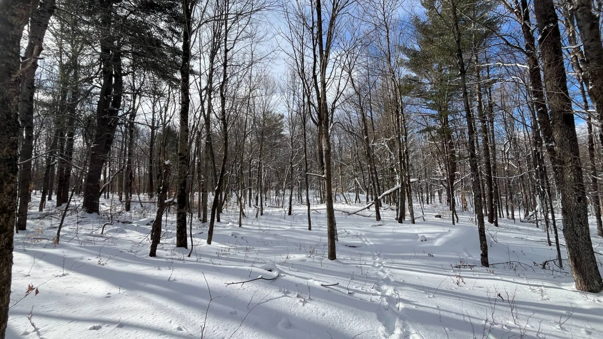 Property at 00 Lafaver Rd, Hermon, NY 13652 12