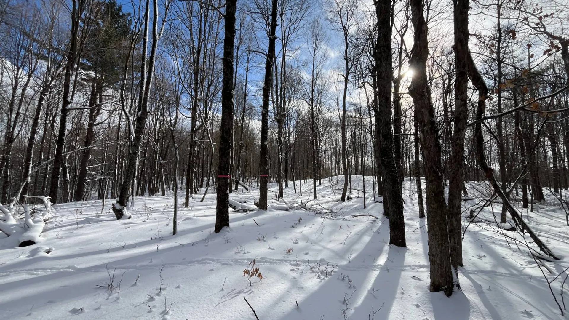 Property at 00 Lafaver Rd, Hermon, NY 13652 13