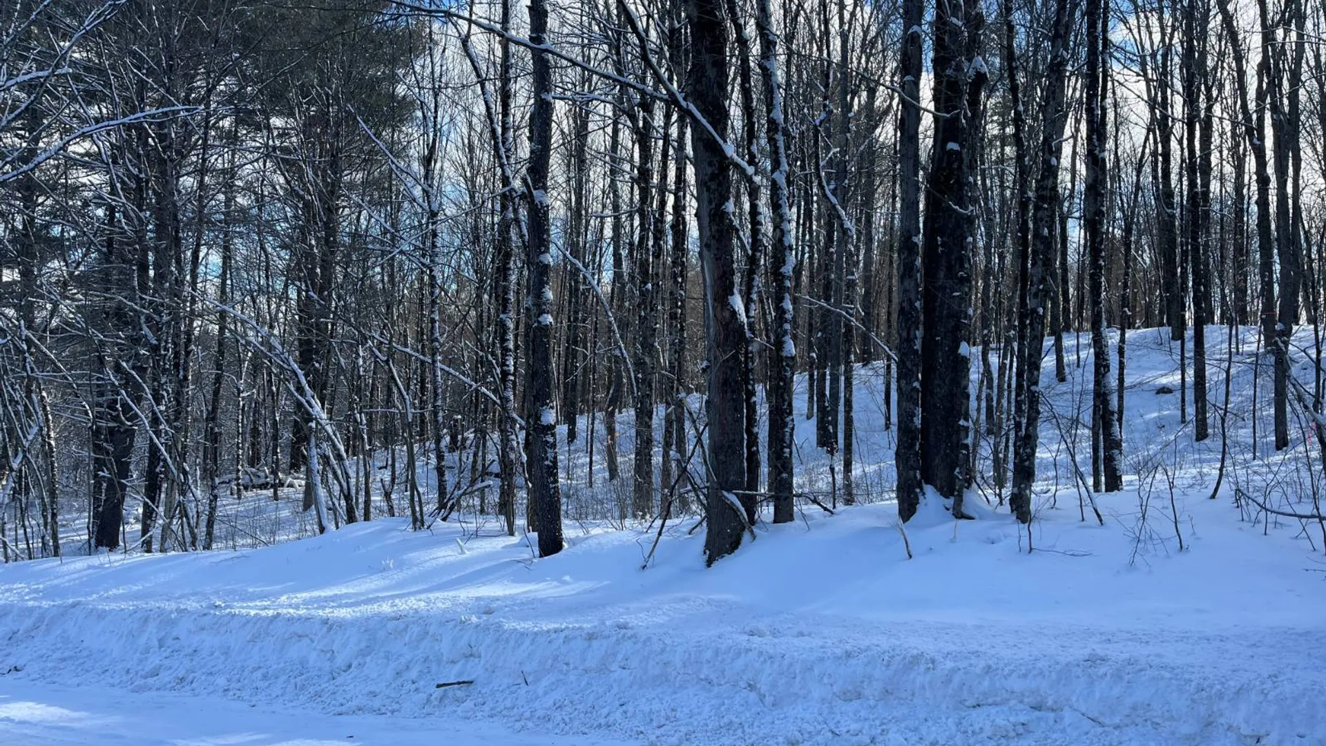 Property at 00 Lafaver Rd, Hermon, NY 13652 16