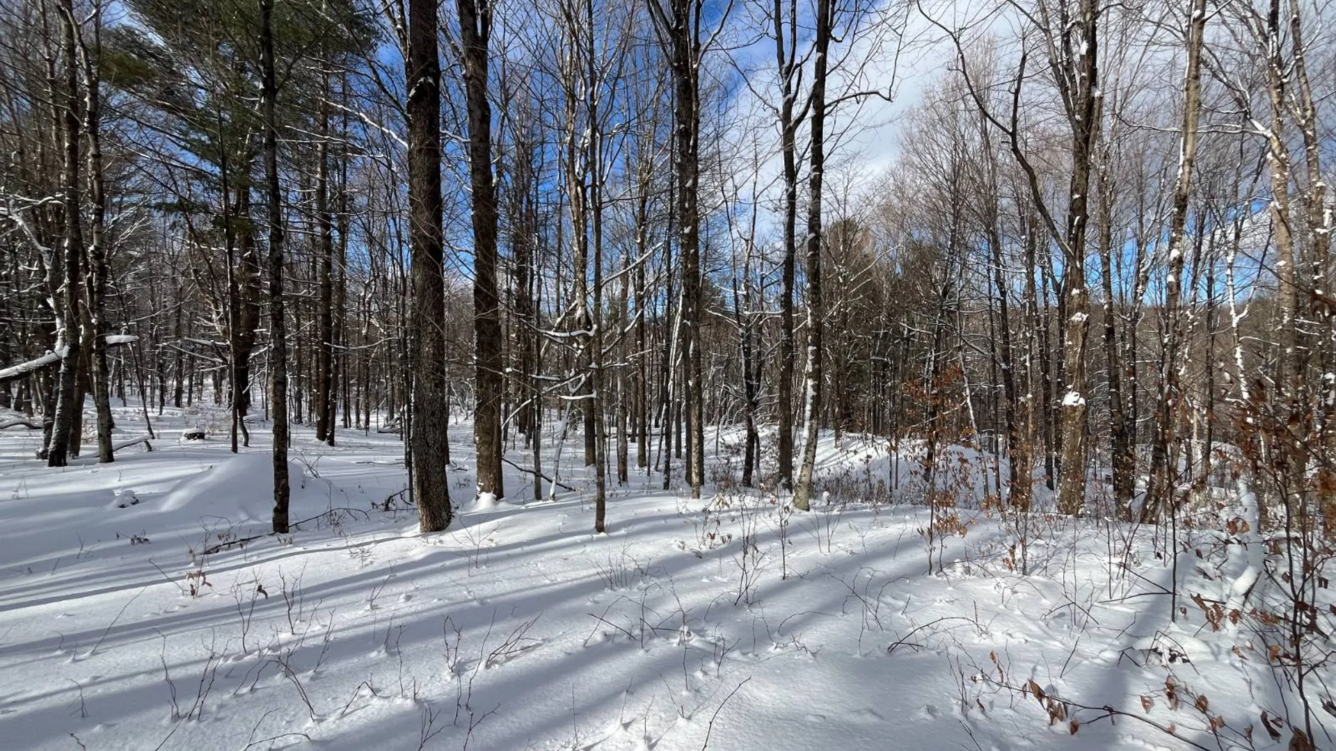 Property at 00 Lafaver Rd, Hermon, NY 13652 2