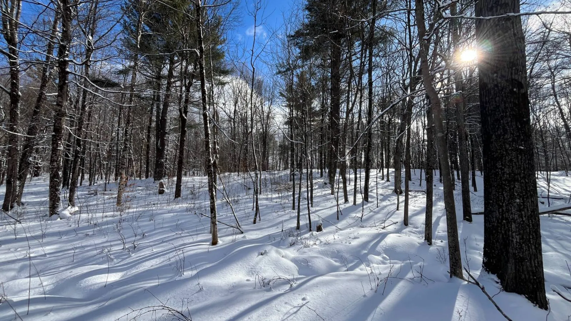 Property at 00 Lafaver Rd, Hermon, NY 13652 3