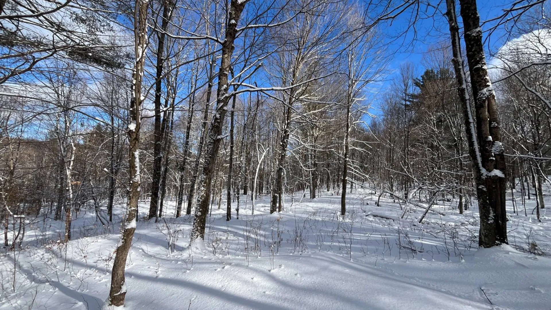 Property at 00 Lafaver Rd, Hermon, NY 13652 8