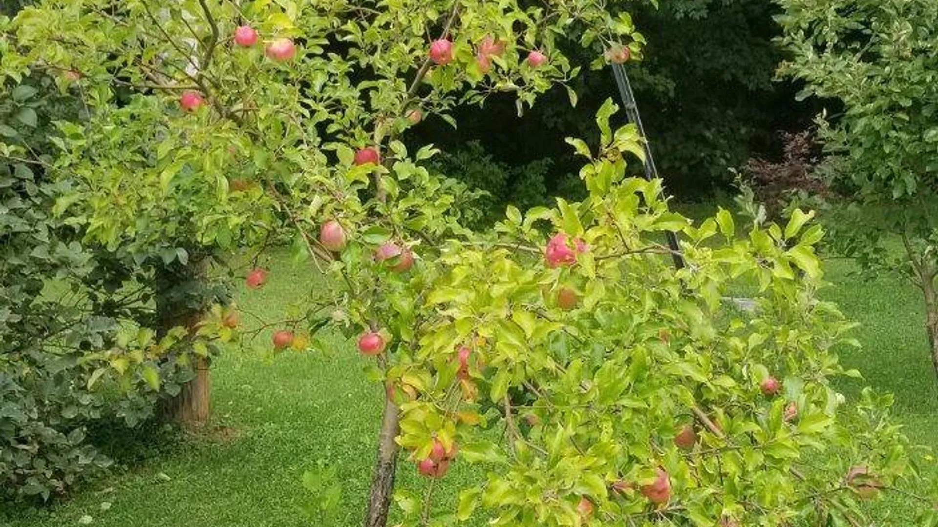 Property at 2071 Highway Route 20, Cobleskill, NY 12043 40