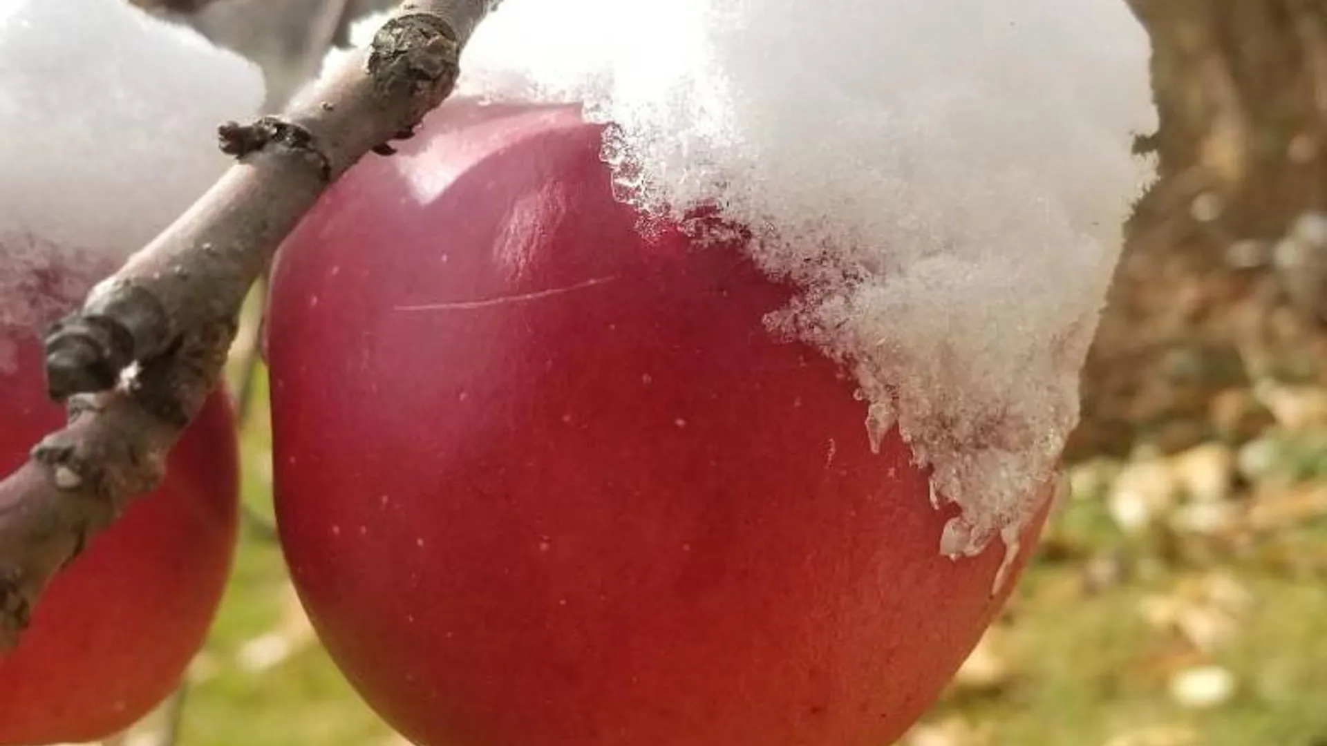 Property at 2071 Highway Route 20, Cobleskill, NY 12043 42