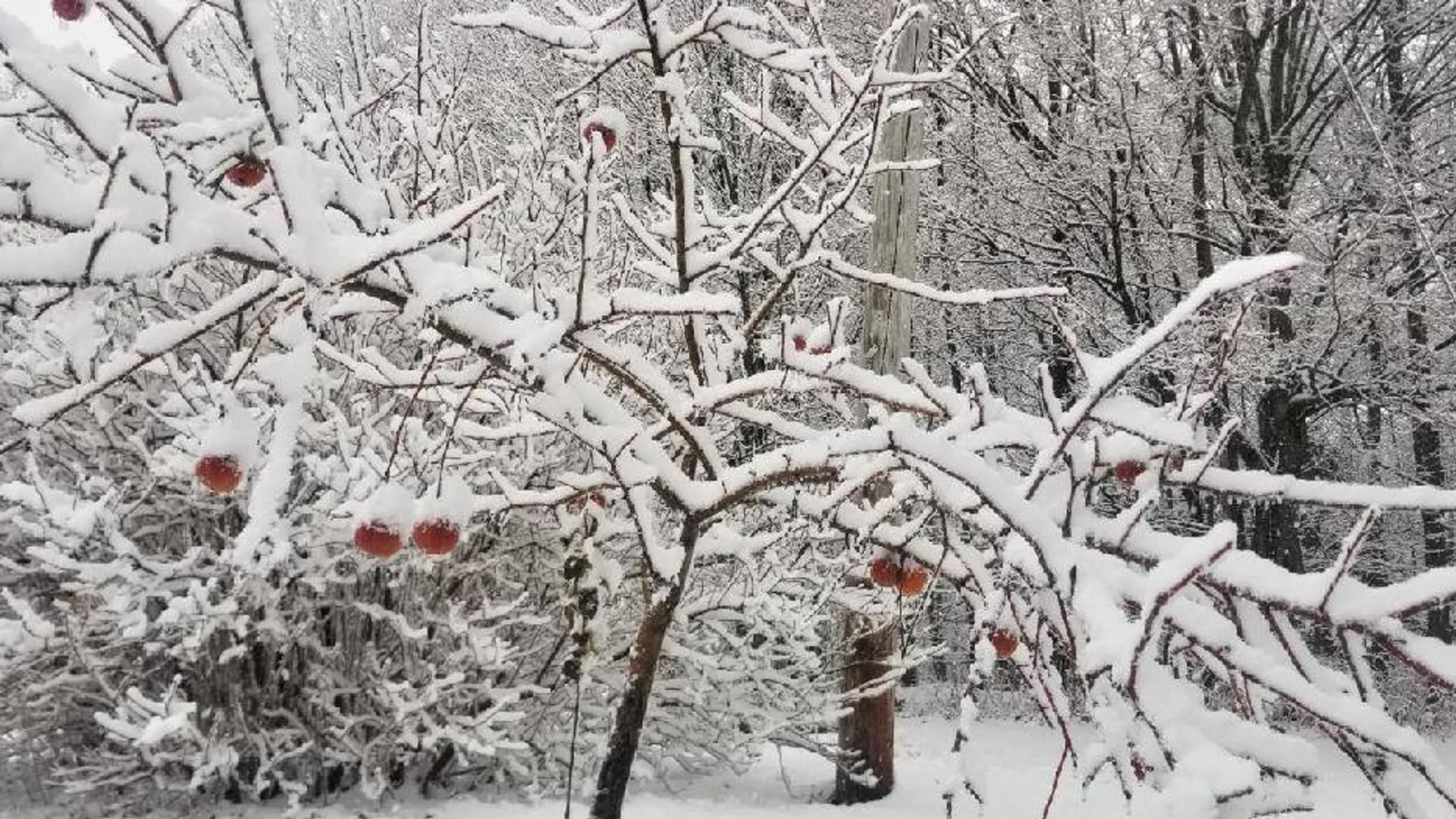 Property at 2071 Highway Route 20, Cobleskill, NY 12043 43