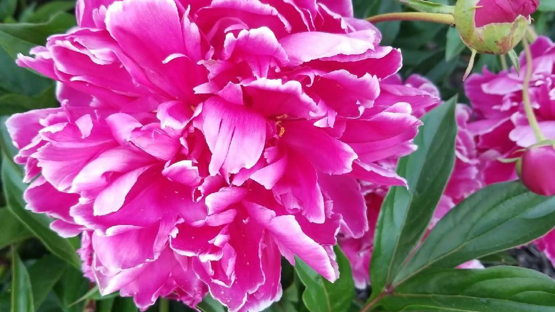 Property at 2071 Highway Route 20, Cobleskill, NY 12043 45