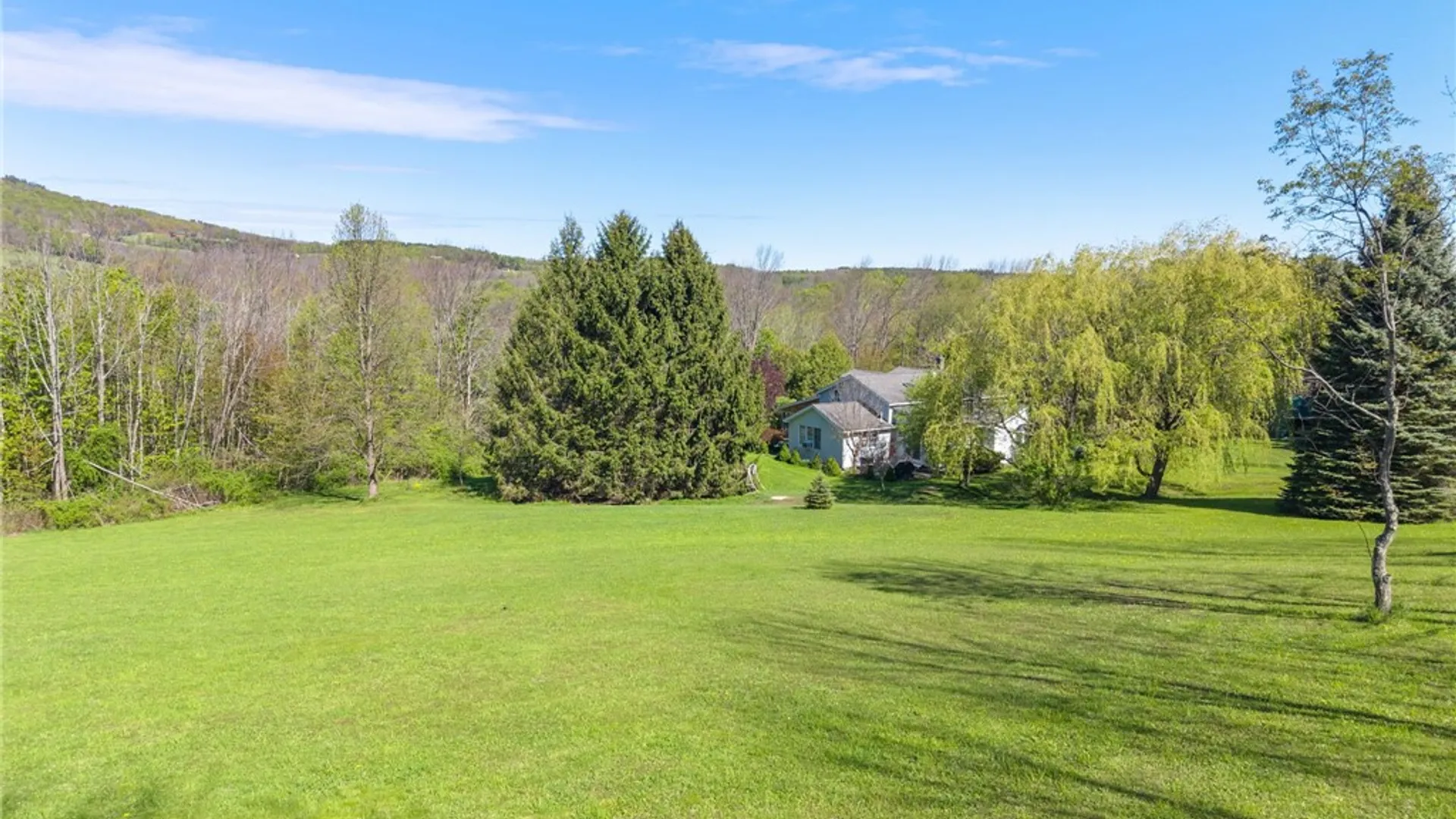 Property at 162 Fancher Road, Summit, NY 12149 42