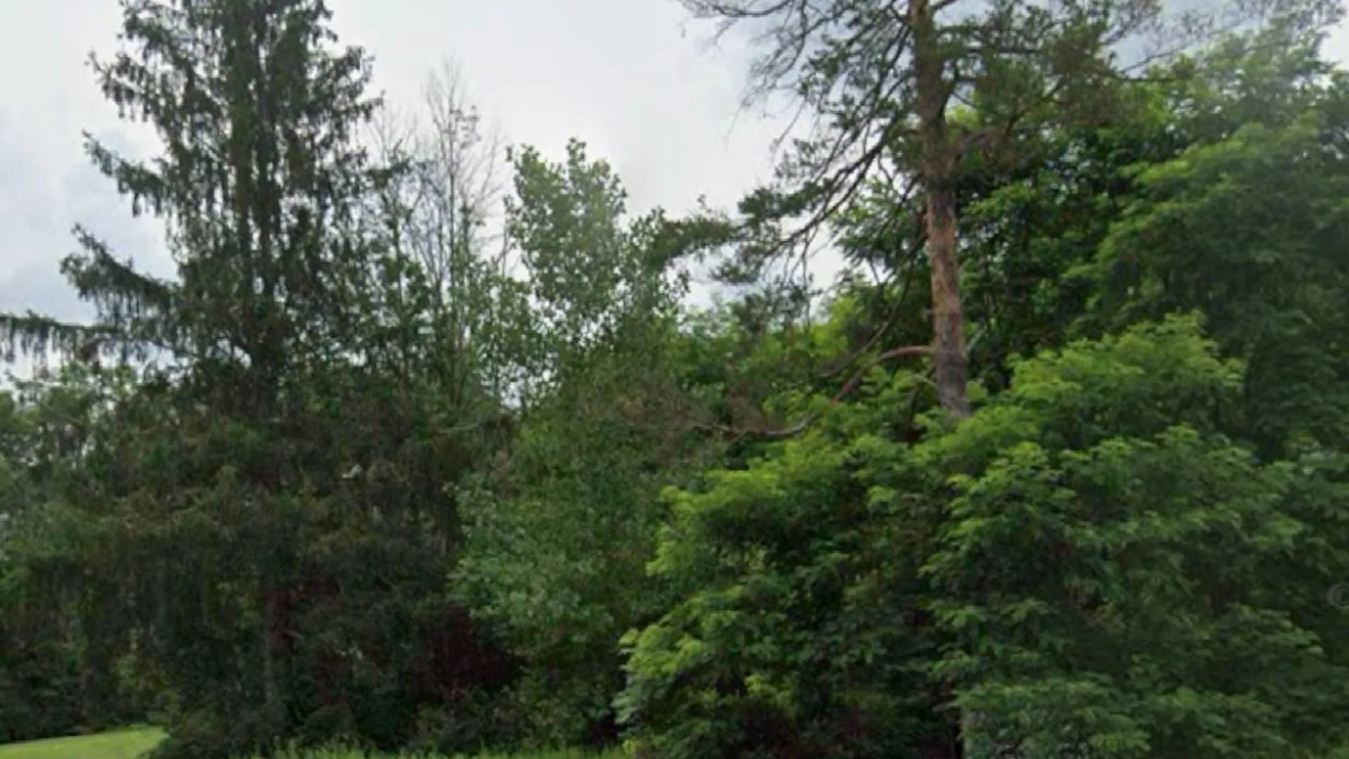 Property at 14951 State Route 23, Prattsville, NY 12468 2