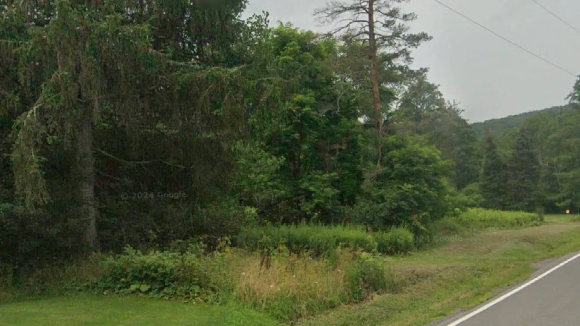 Property at 14951 State Route 23, Prattsville, NY 12468 3