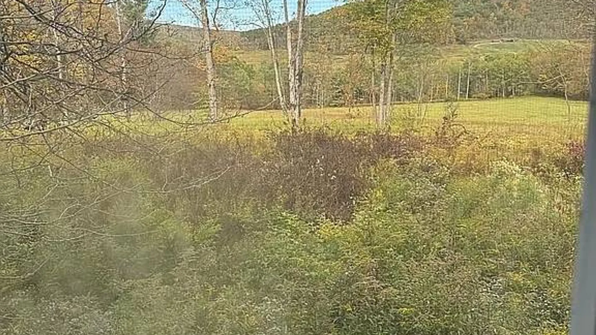 Property at 3458 Ray Hill Rd, Andover, NY 14806 3