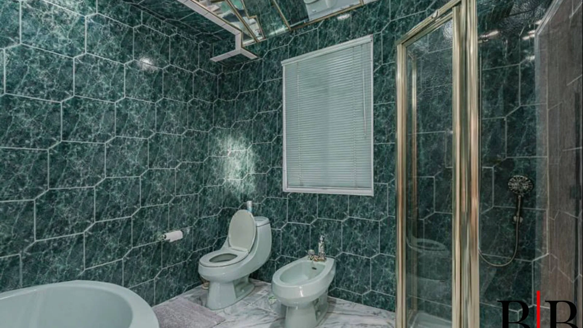 Property at 215 Arkansas Drive, Brooklyn, NY 11234 33