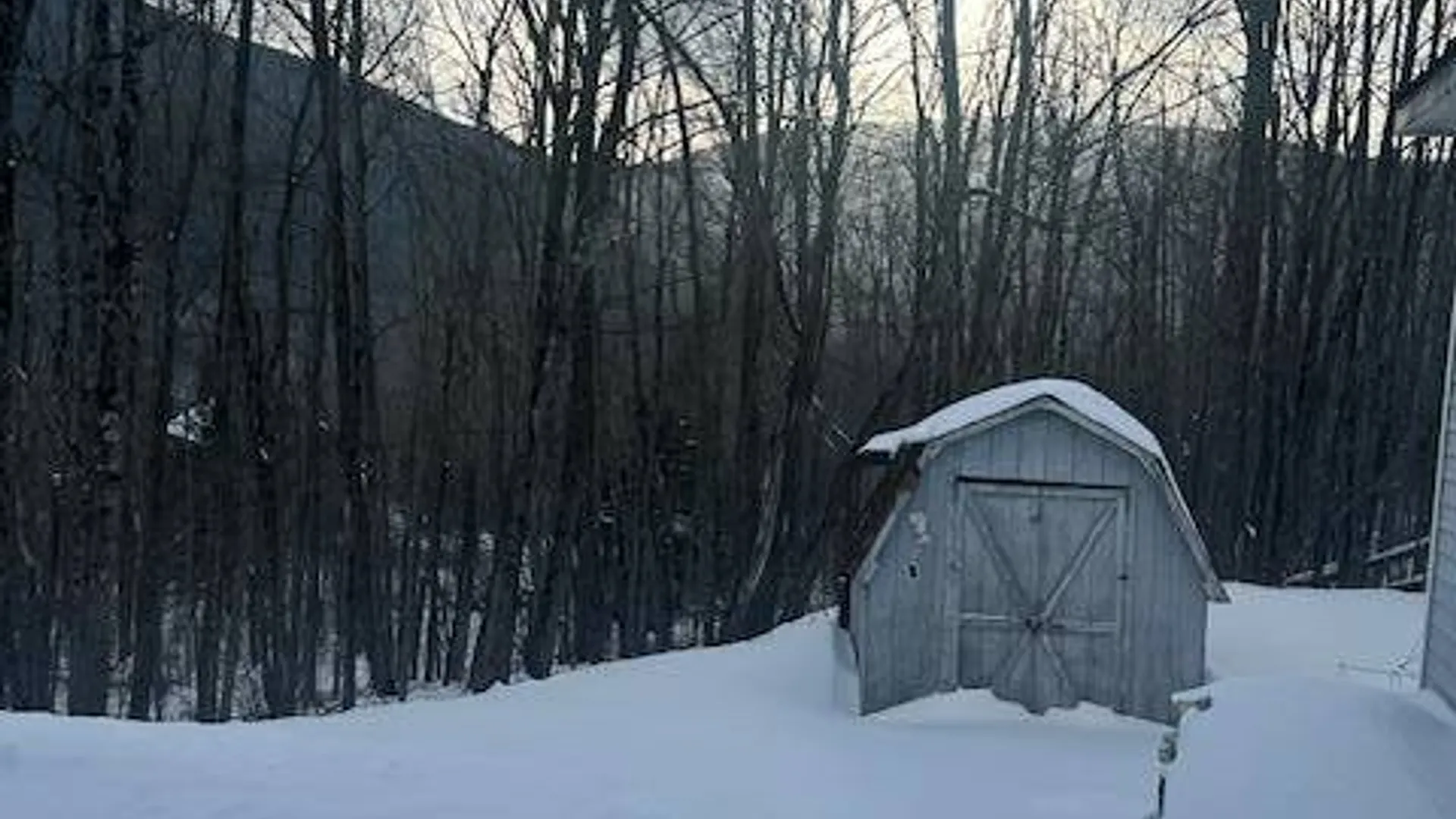 Property at 159 Cloos Rd., South Jewett, NY 12444 11