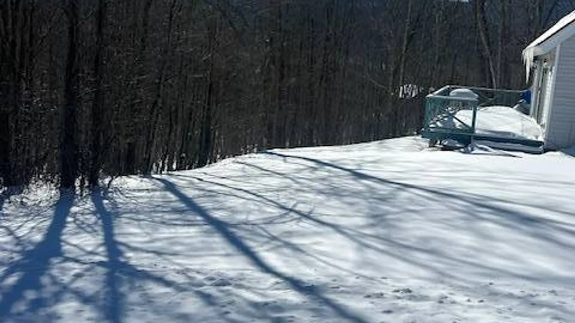 Property at 159 Cloos Rd., South Jewett, NY 12444 14