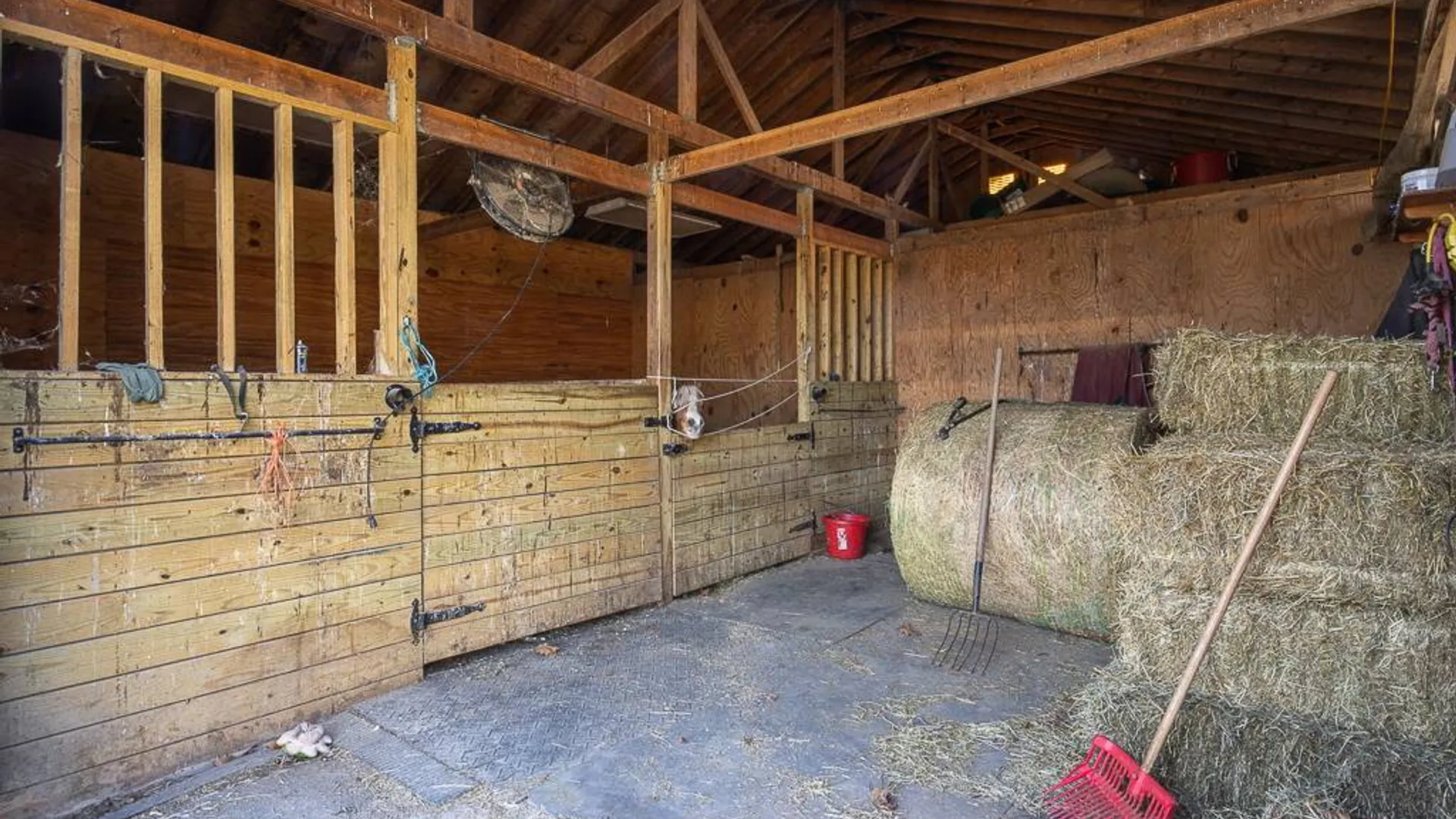 Property at 355 Fosler Rd, Wallkill, NY 12589 24